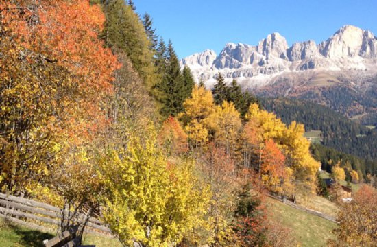 Herbstgeflüster