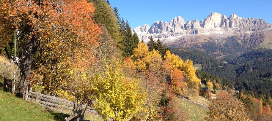 Pauschalangebot: Herbstgeflüster …. Die Kraft der Wurzeln 